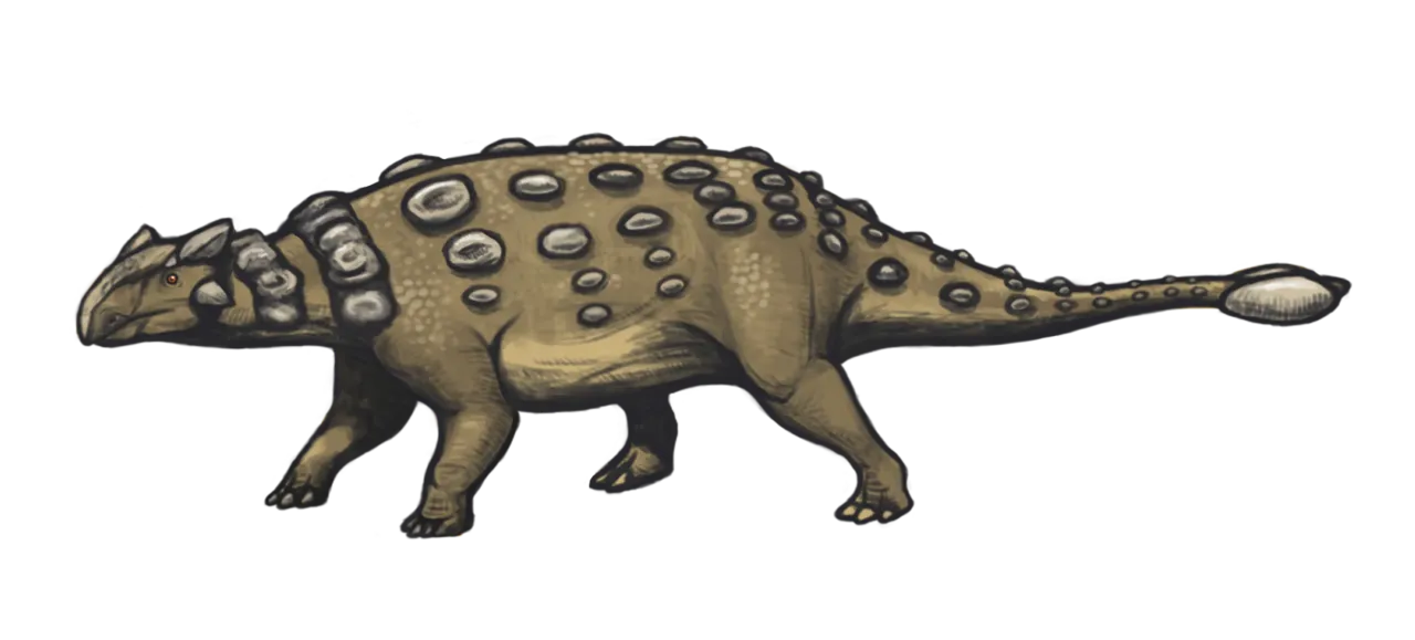 A picture of Ankylosaurus, of the family Ankylosauridae.
