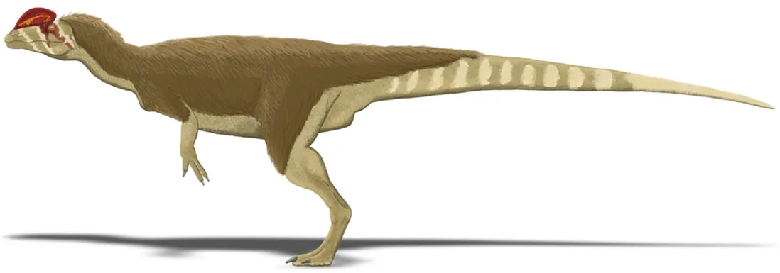 A picture of Dilophosaurus.