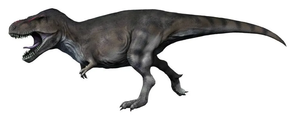 A life reconstruction of Tyrannosaurus rex striding to the left with its jaws open, by Nobu Tamura.